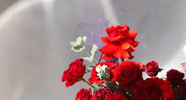 Монобукеты