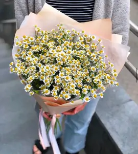 Монобукет из ромашек