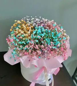 Коробка из радужной гипсофилы