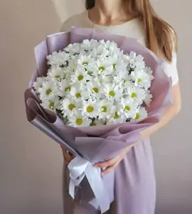 Монобукет из 13 веток белой хризантемы №7