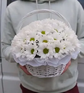 Корзина из кустовой хризантемы