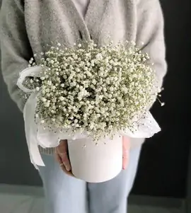 Коробка из белой гипсофилы