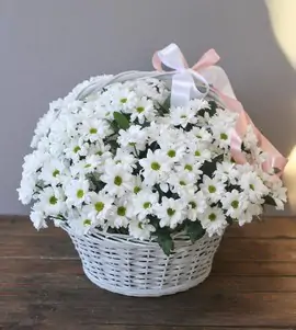 Корзина из белой хризантемы
