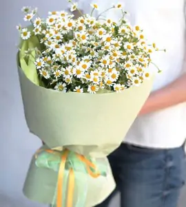 Монобукет из полевых ромашек №1