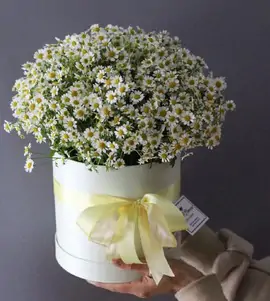 Коробка с ромашками №2