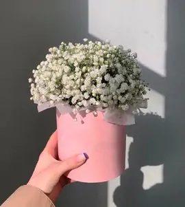 Коробка с белой гипсофилой