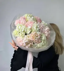 Монобукет из 11 бело-розовых гортензий №3