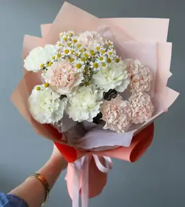 Сборный букет с гвоздиками и ромашками