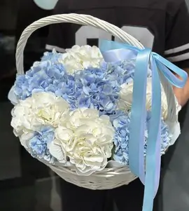 Корзина с гортензией микс №2