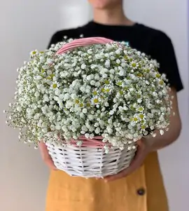 Корзина с гипсофилой и ромашками