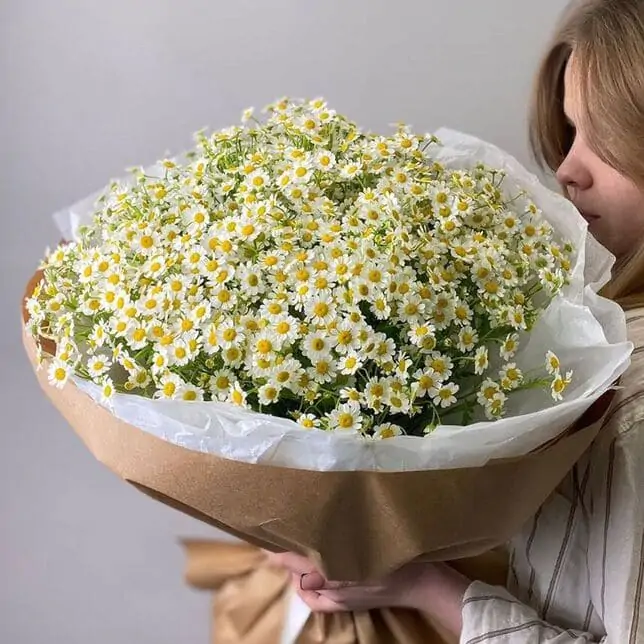 Ромашки! Трендовый букет лета!